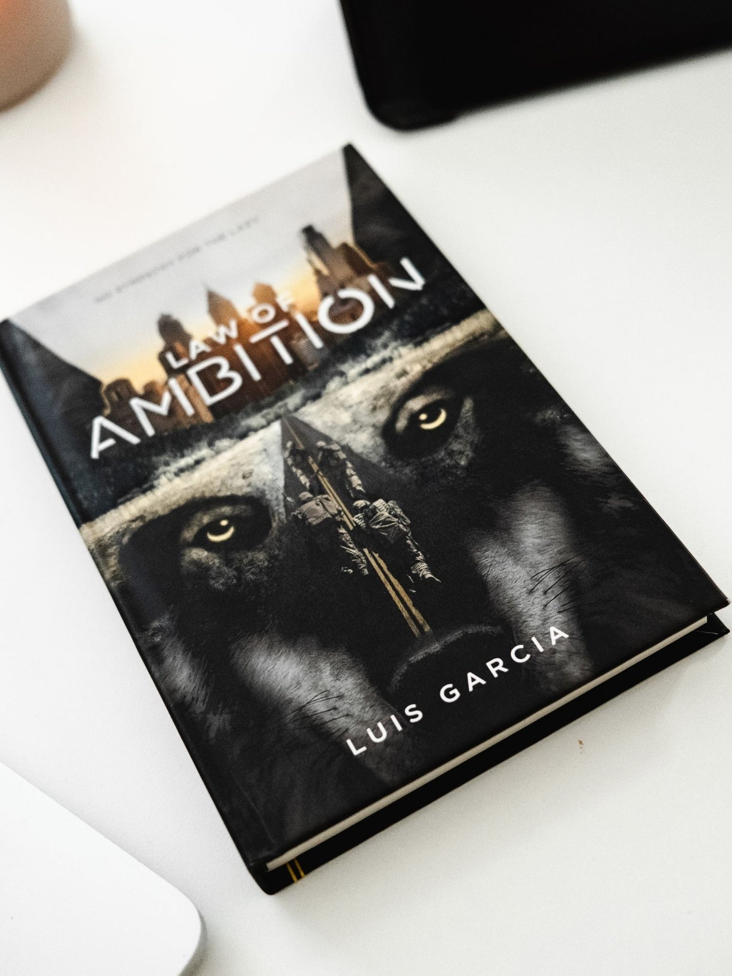 Law of Ambition Softback