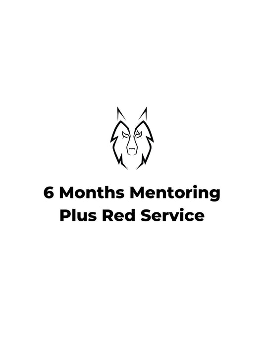 Mentoring plus red service
