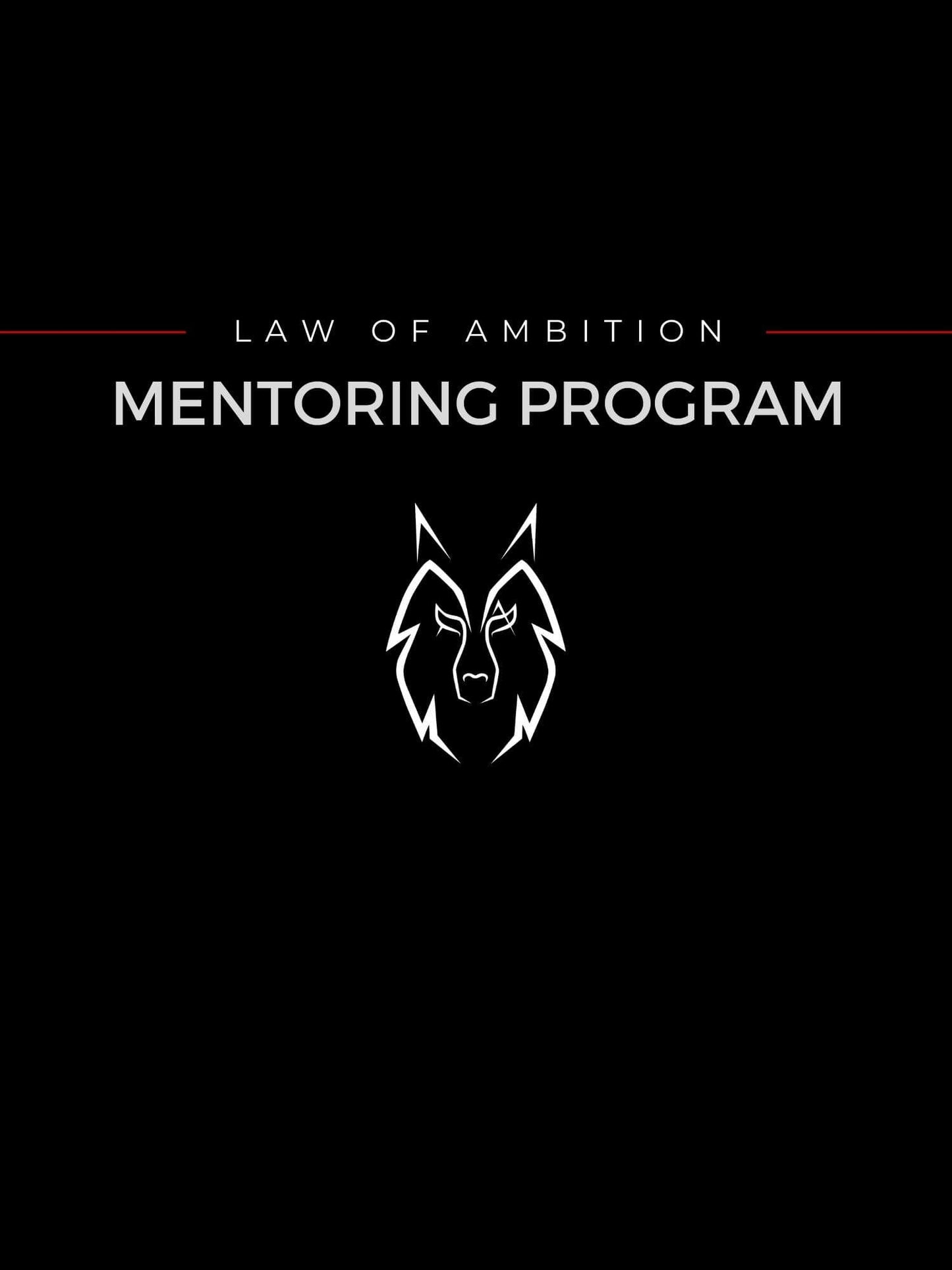 Law of Ambition Mentoring Program